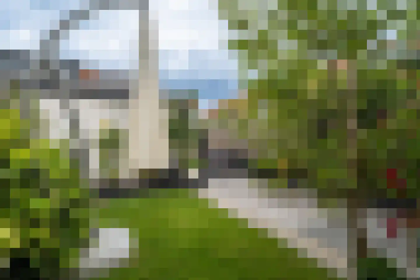 Pampasgras 2 Spijkenisse thumbnail 14
