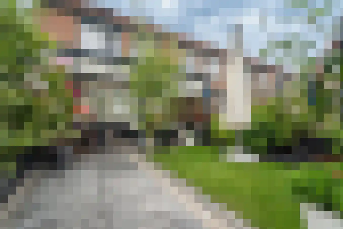 Pampasgras 2 Spijkenisse thumbnail 15