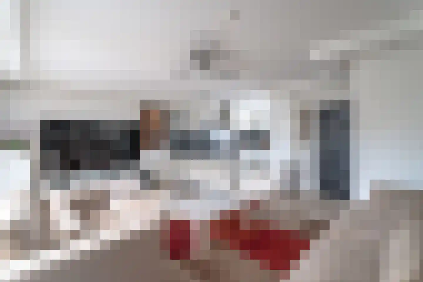 Pampasgras 2 Spijkenisse thumbnail 17