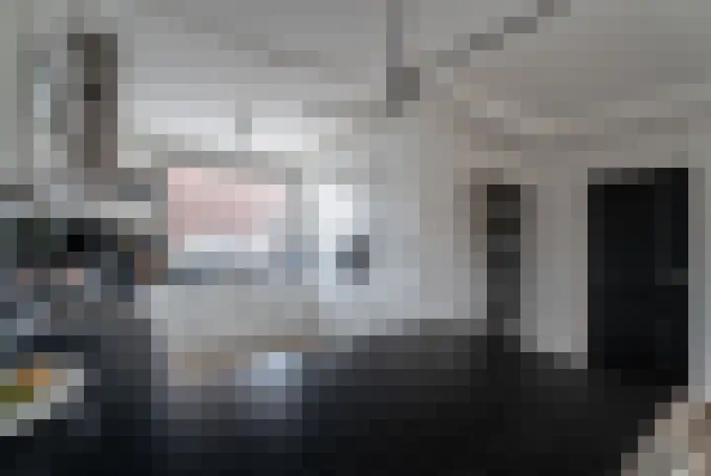 Pampasgras 2 Spijkenisse thumbnail 19