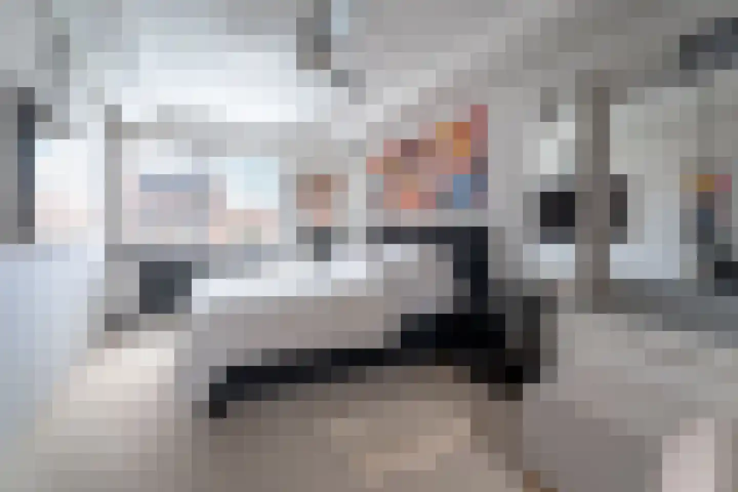Pampasgras 2 Spijkenisse thumbnail 23