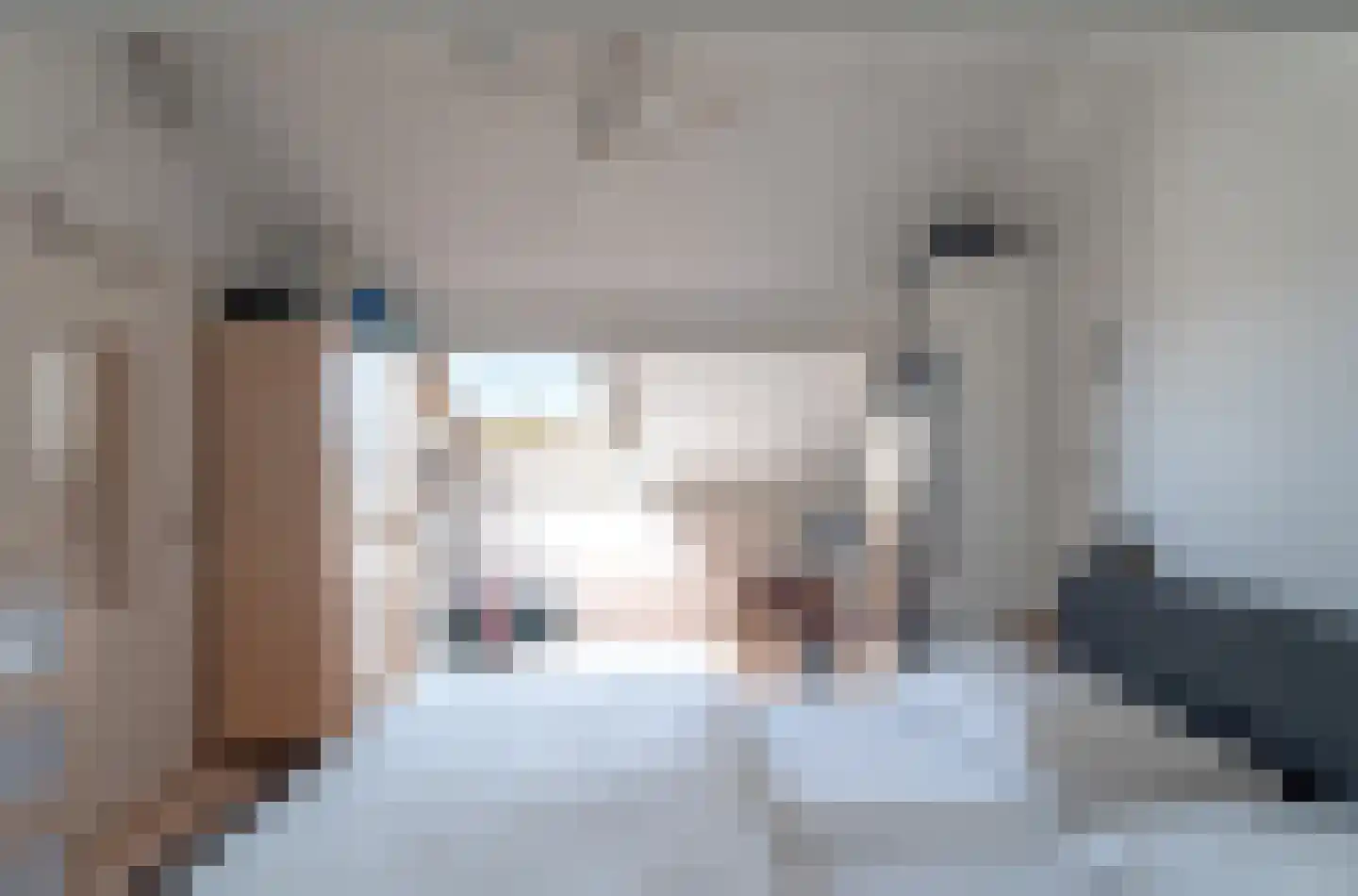 Pampasgras 2 Spijkenisse thumbnail 33