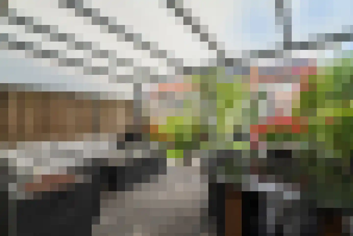 Pampasgras 2 Spijkenisse thumbnail 5