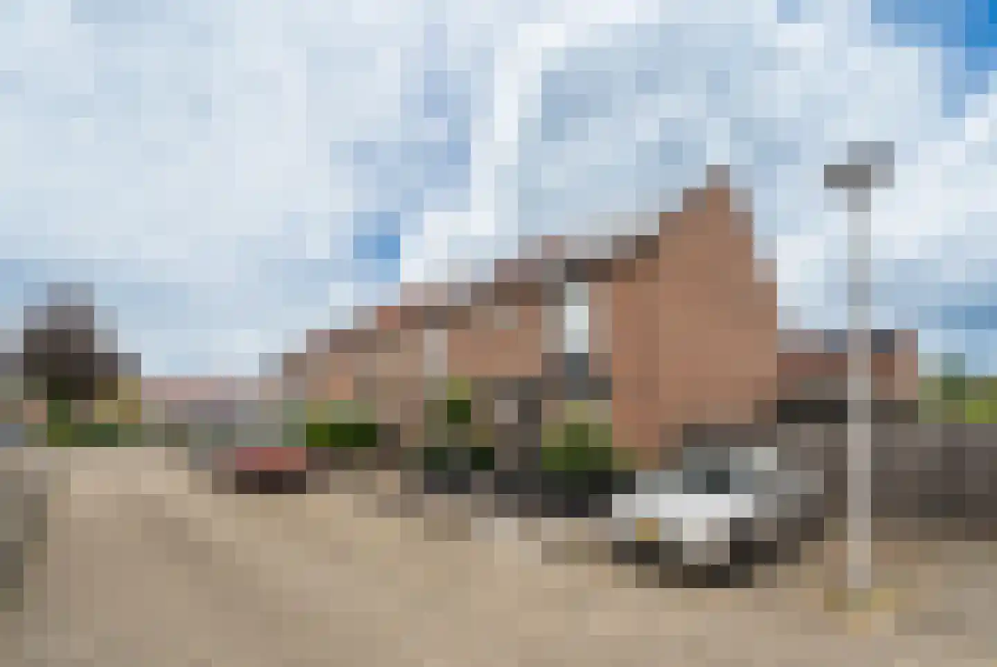 Pampasgras 2 Spijkenisse thumbnail 6