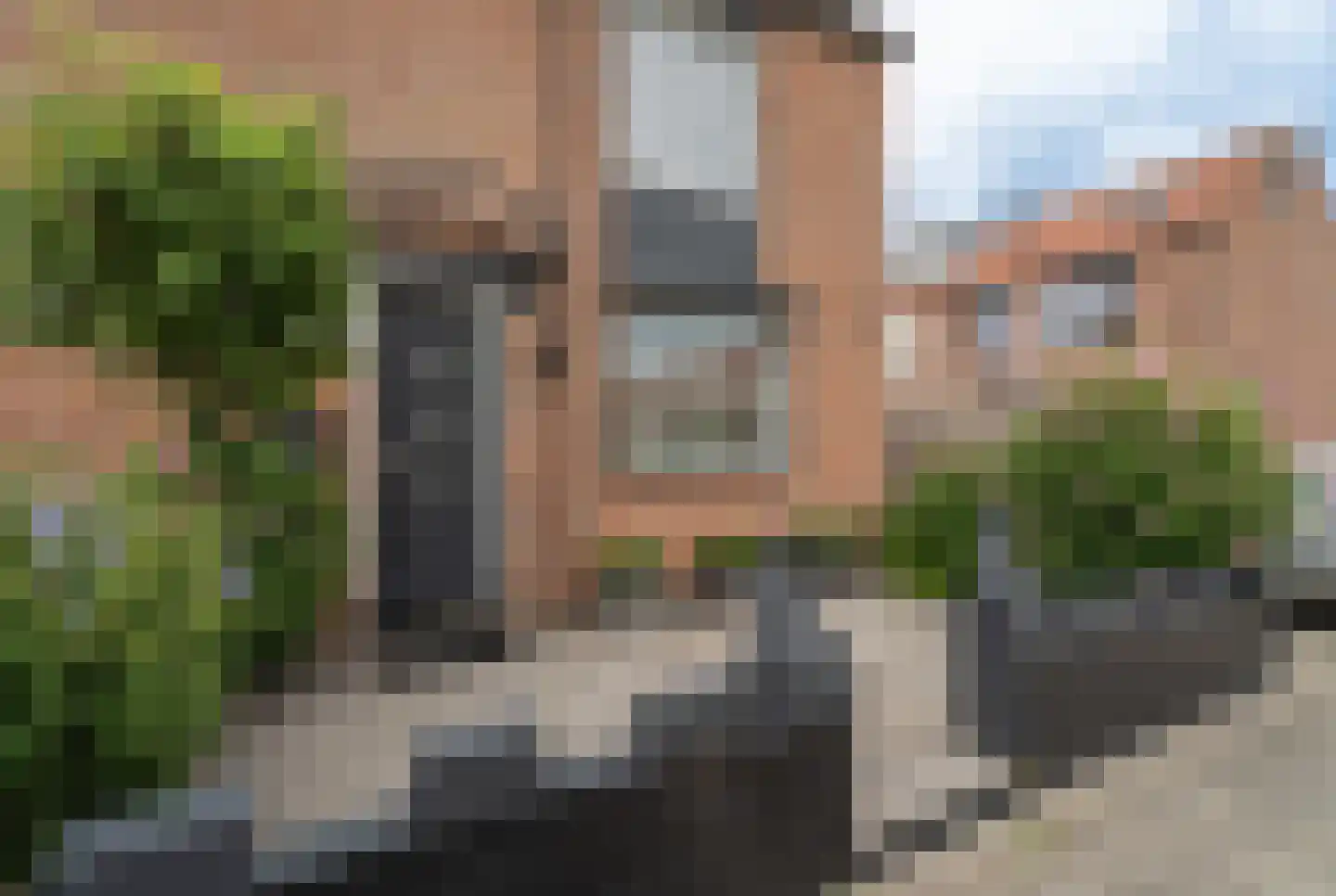 Pampasgras 2 Spijkenisse thumbnail 9