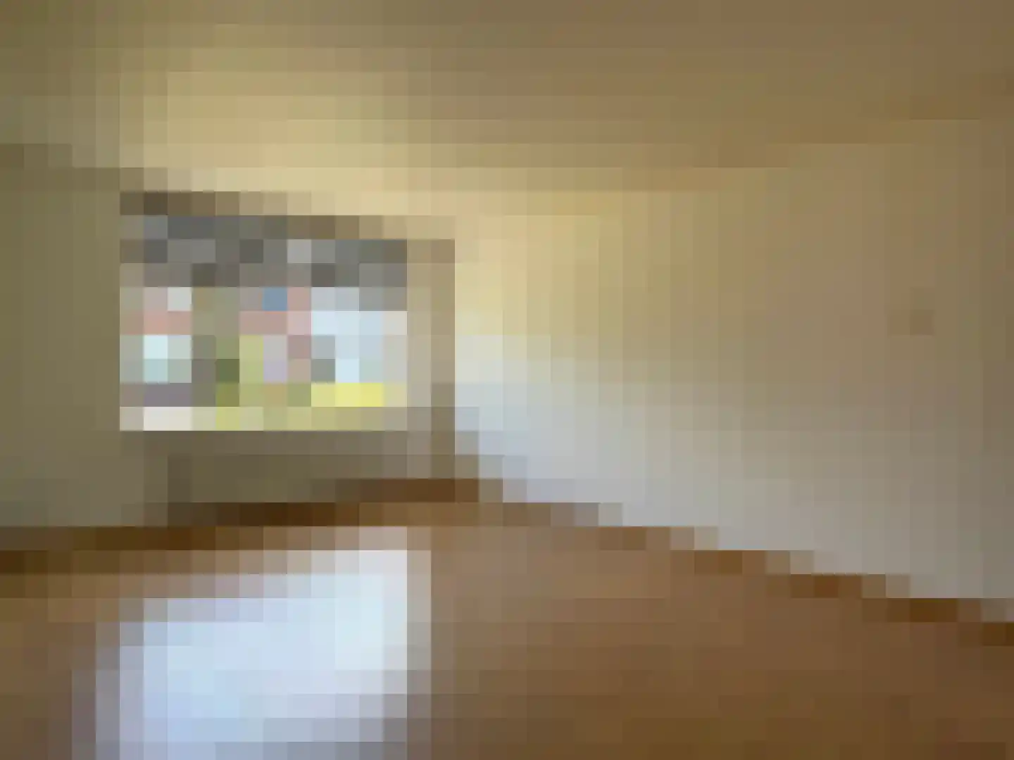 Pampertstraat 4 Coevorden thumbnail 15