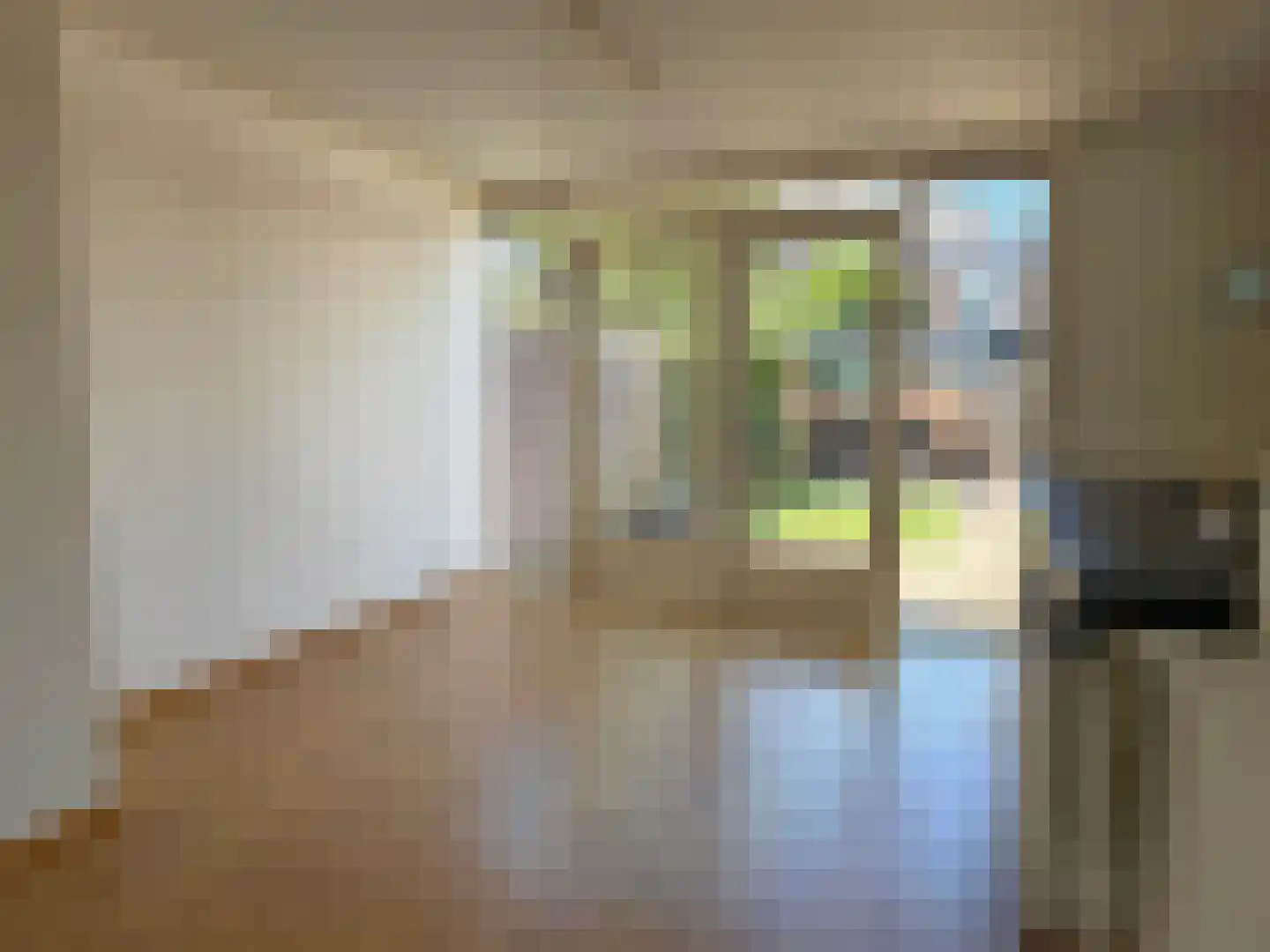 Pampertstraat 4 Coevorden thumbnail 17