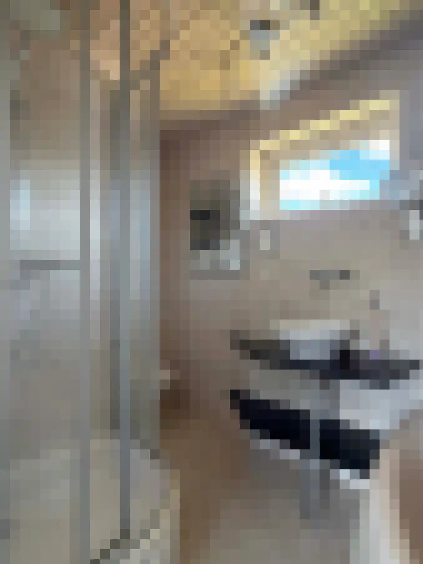 Pampertstraat 4 Coevorden thumbnail 26