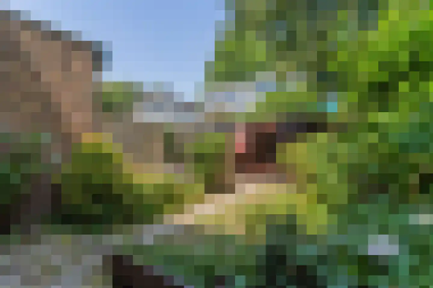 Pampus 10 Amstelveen thumbnail 31