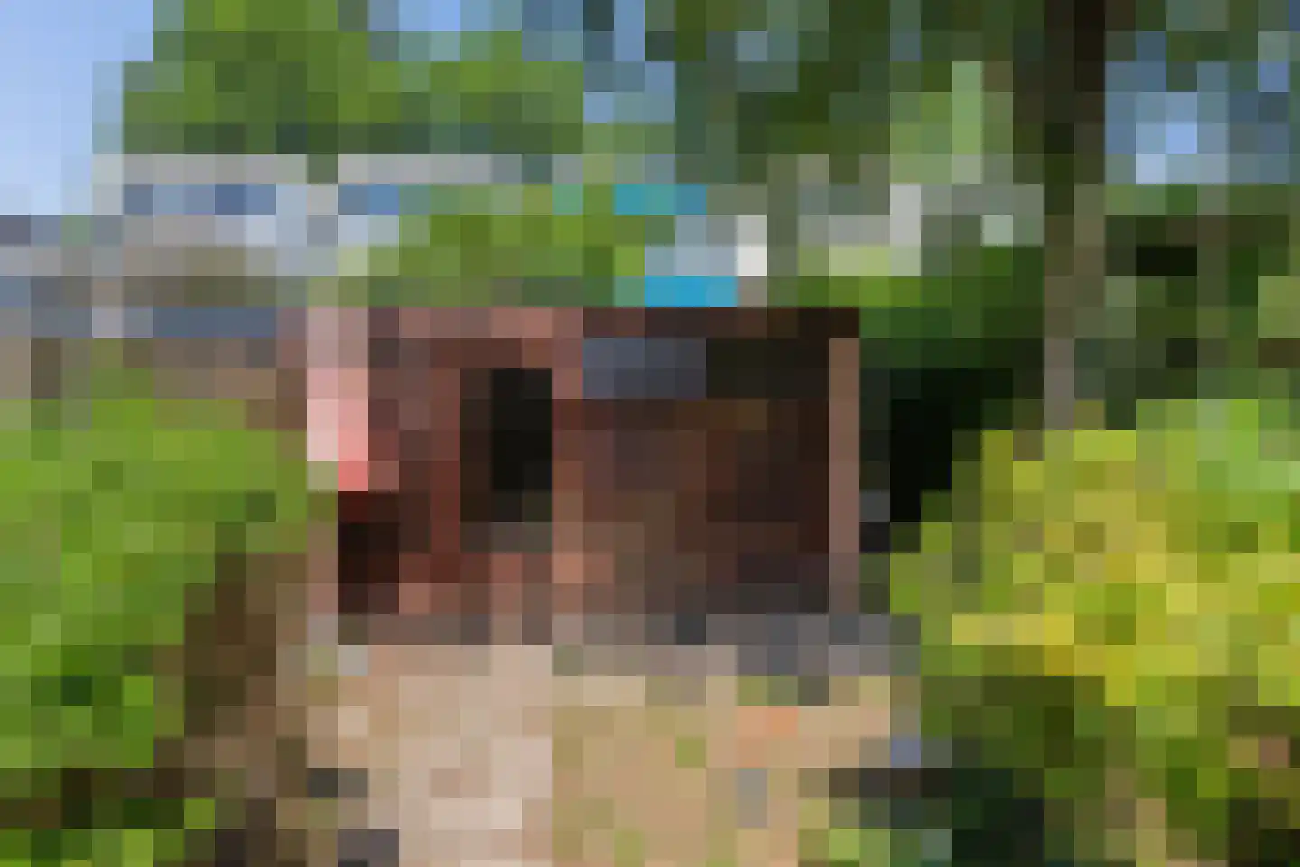 Pampus 10 Amstelveen thumbnail 32