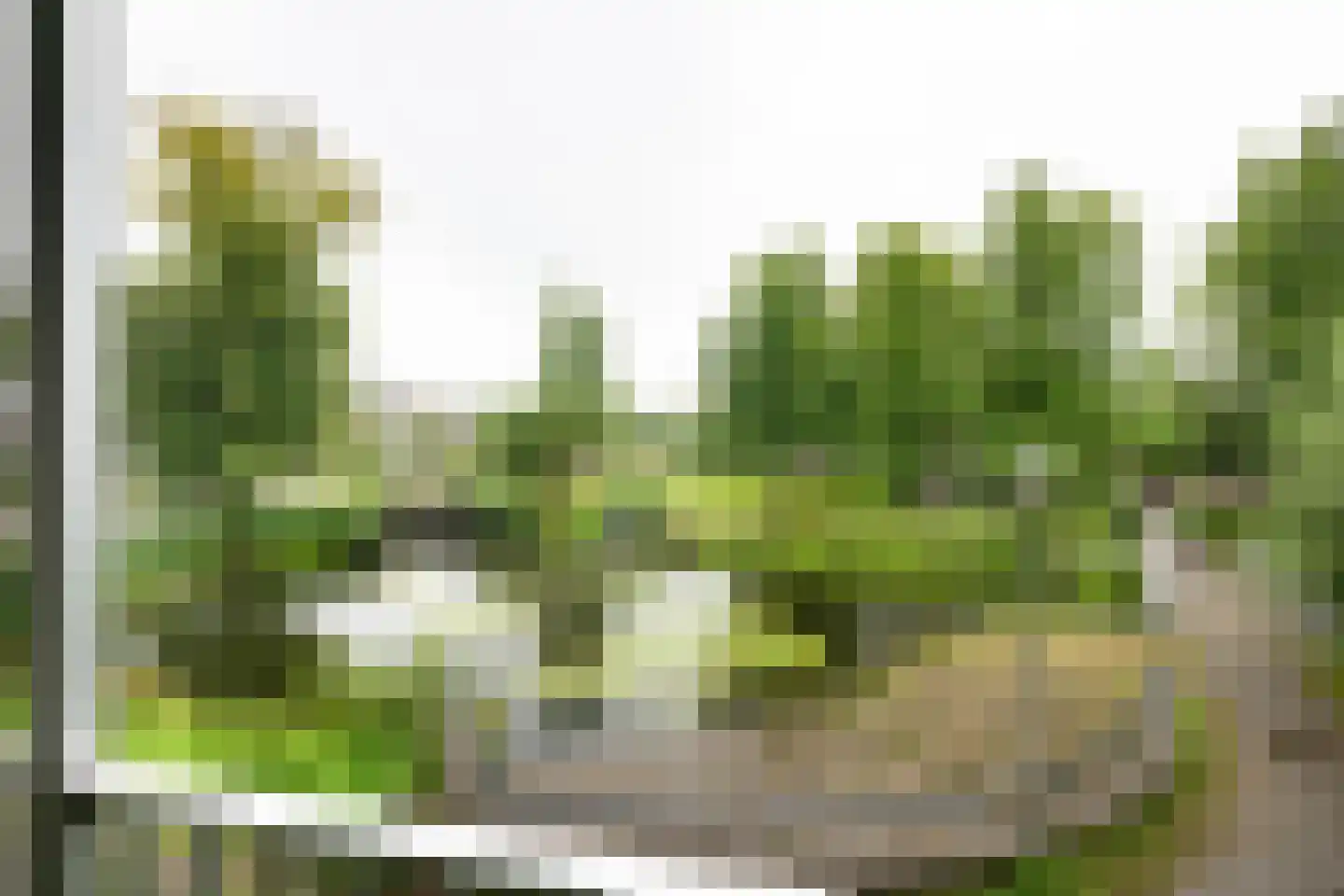 Pampus 120 Haarlem thumbnail 14