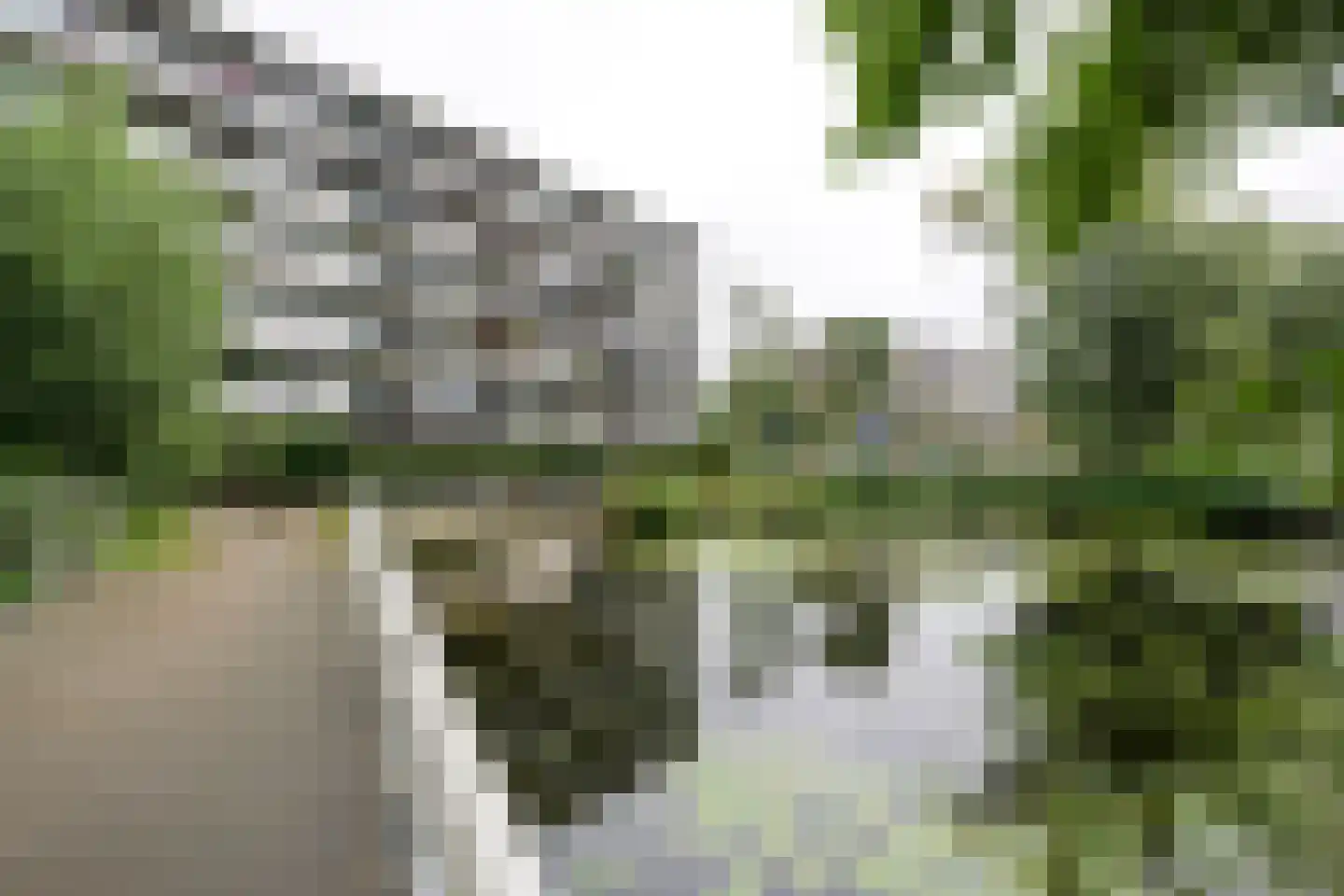 Pampus 142 Haarlem thumbnail 12