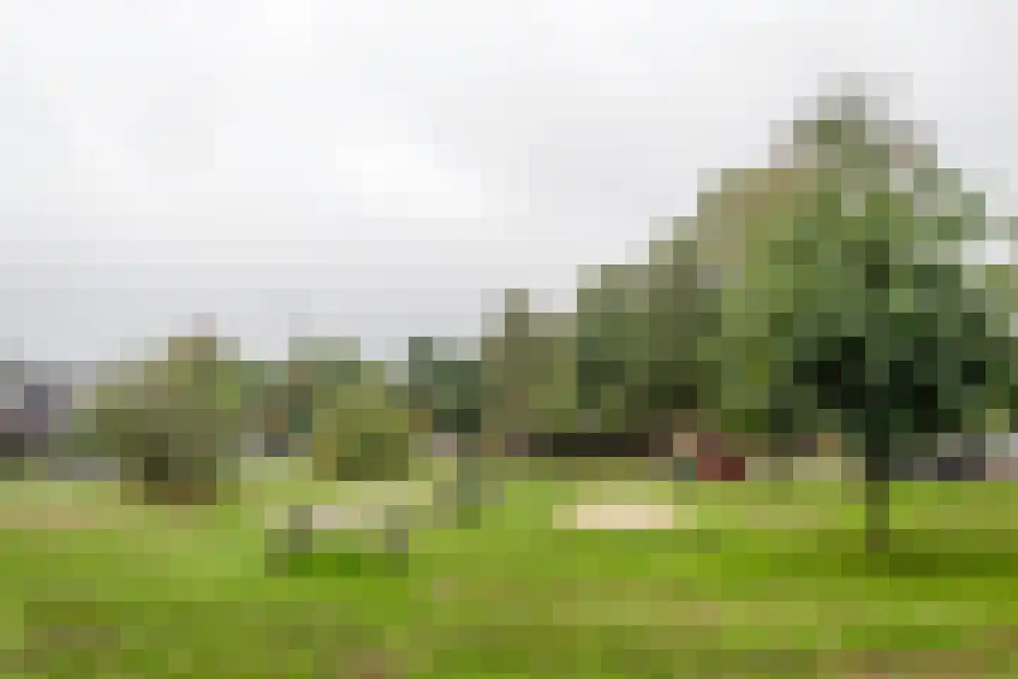 Pampus 142 Haarlem thumbnail 15