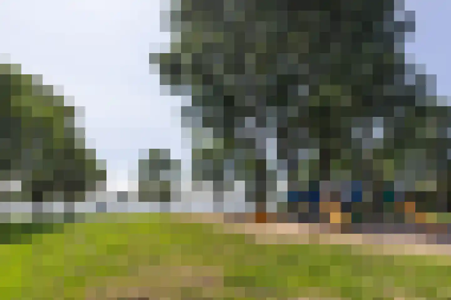 Pampus 142 Haarlem thumbnail 18