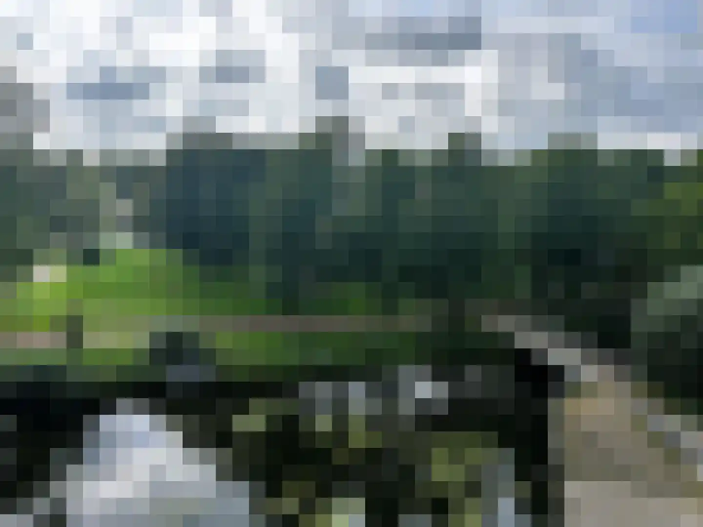 Pampus 178 Haarlem thumbnail 11