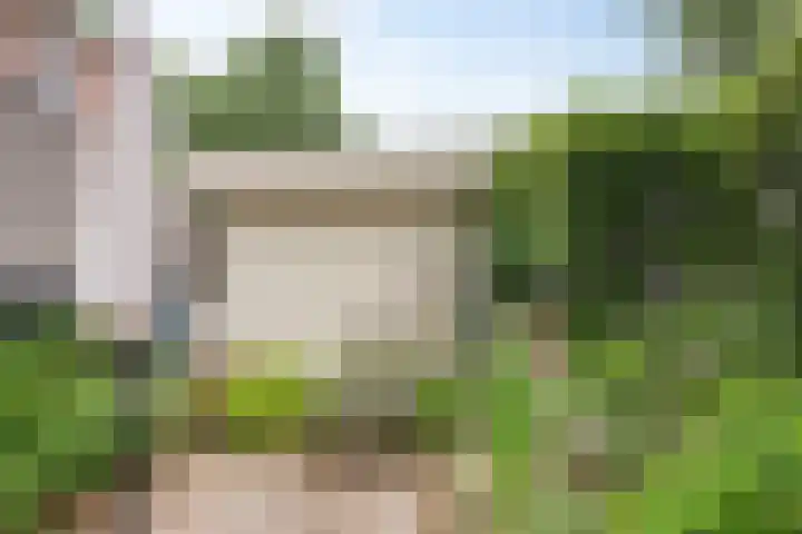 Pampus 21 Kuinre thumbnail 25