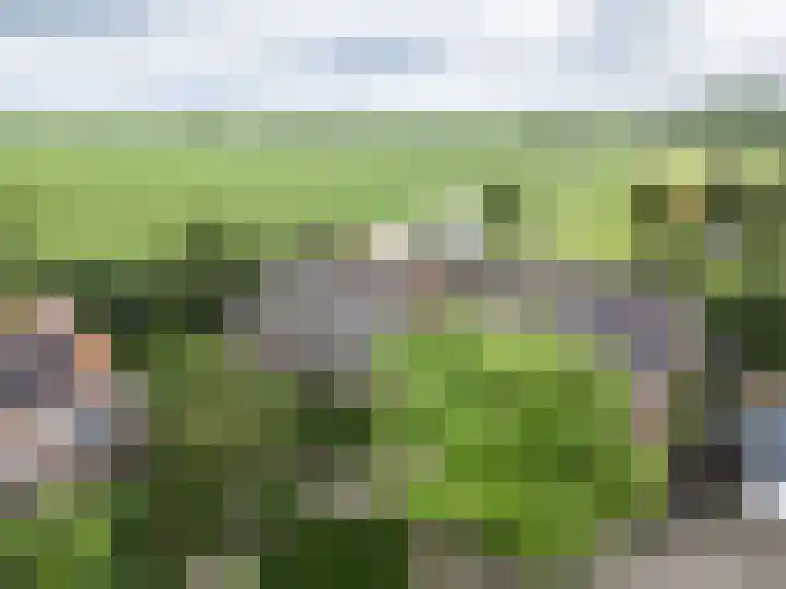 Pampus 21 Kuinre thumbnail 32