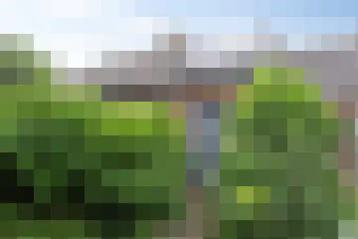 Pampus 21 Kuinre thumbnail 33