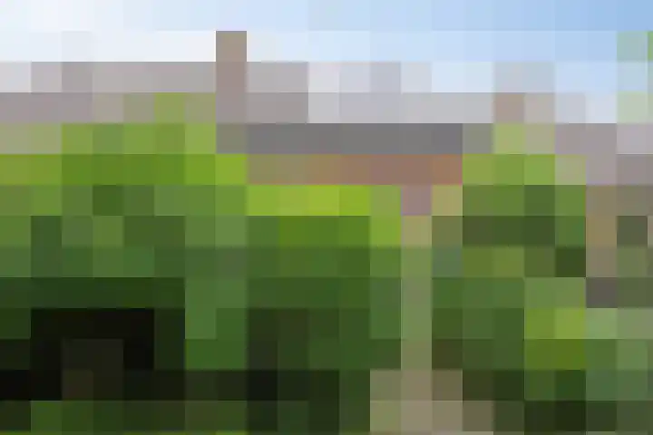 Pampus 21 Kuinre thumbnail 34