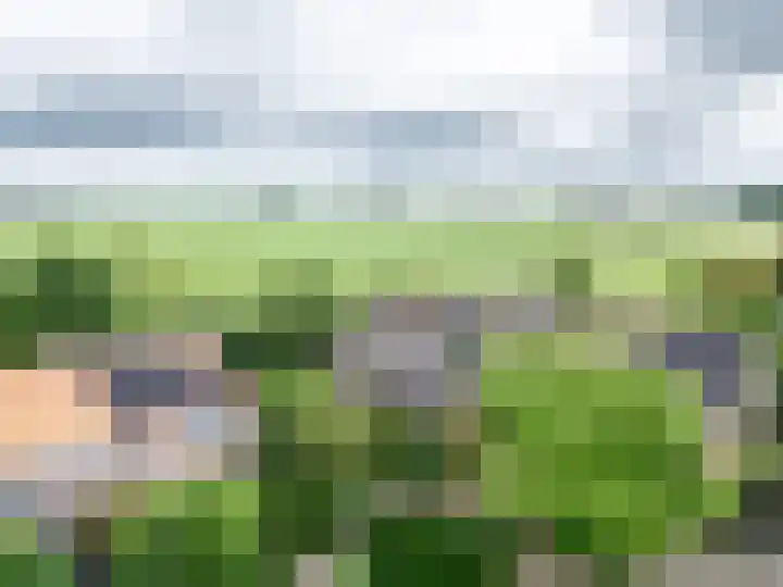 Pampus 21 Kuinre thumbnail 37