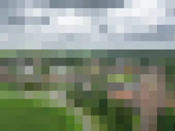 Pampus 21 Kuinre thumbnail 43