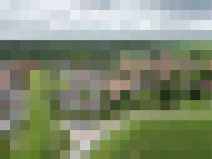 Pampus 21 Kuinre thumbnail 44