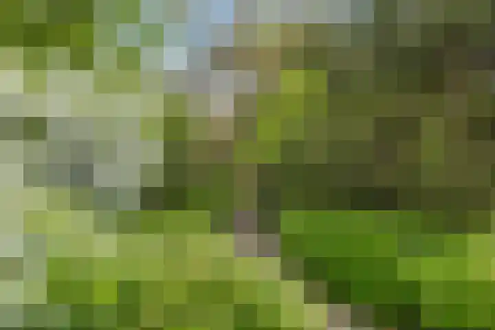 Pampus 3 Amstelveen thumbnail 30