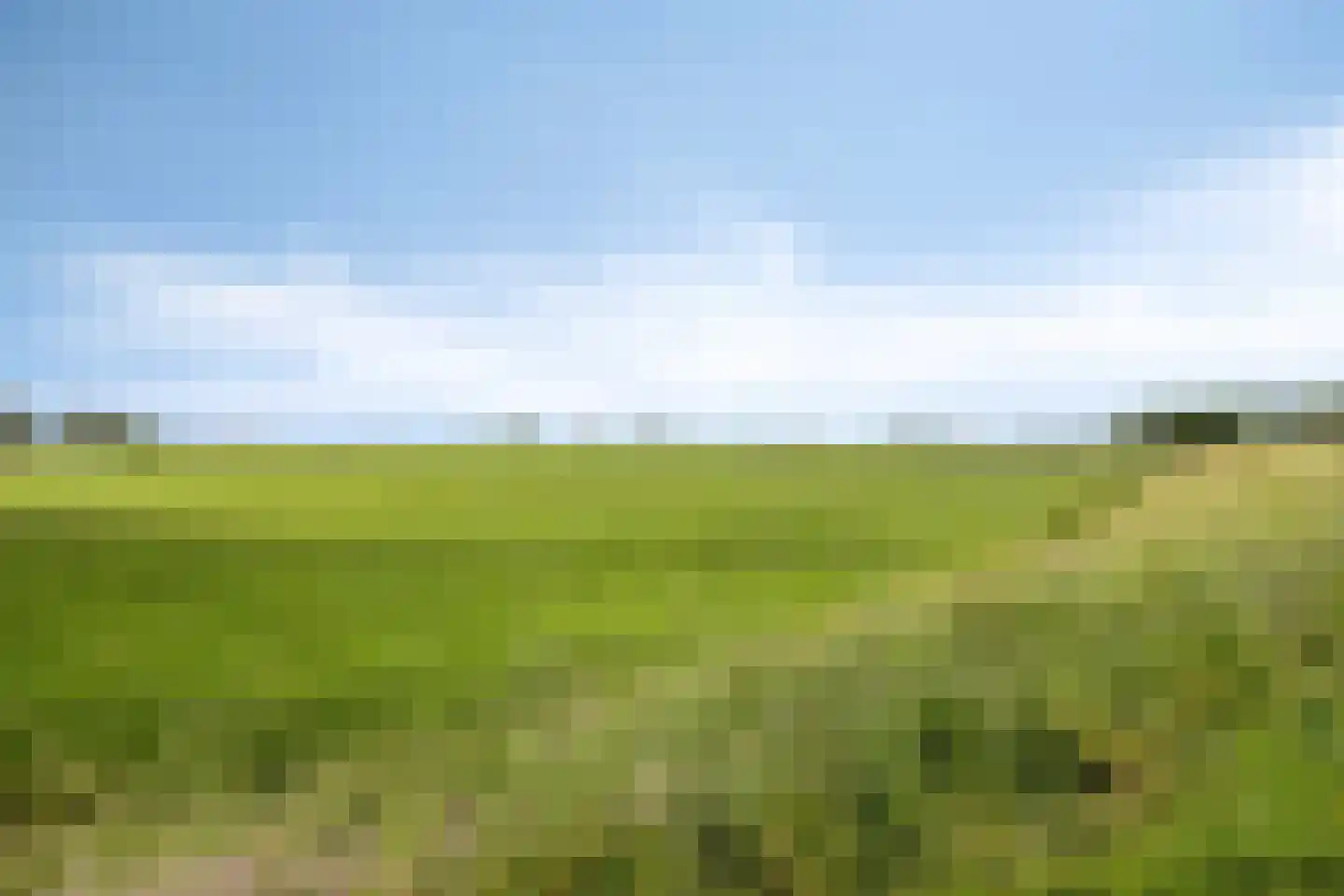Pampus 5 Kuinre thumbnail 39