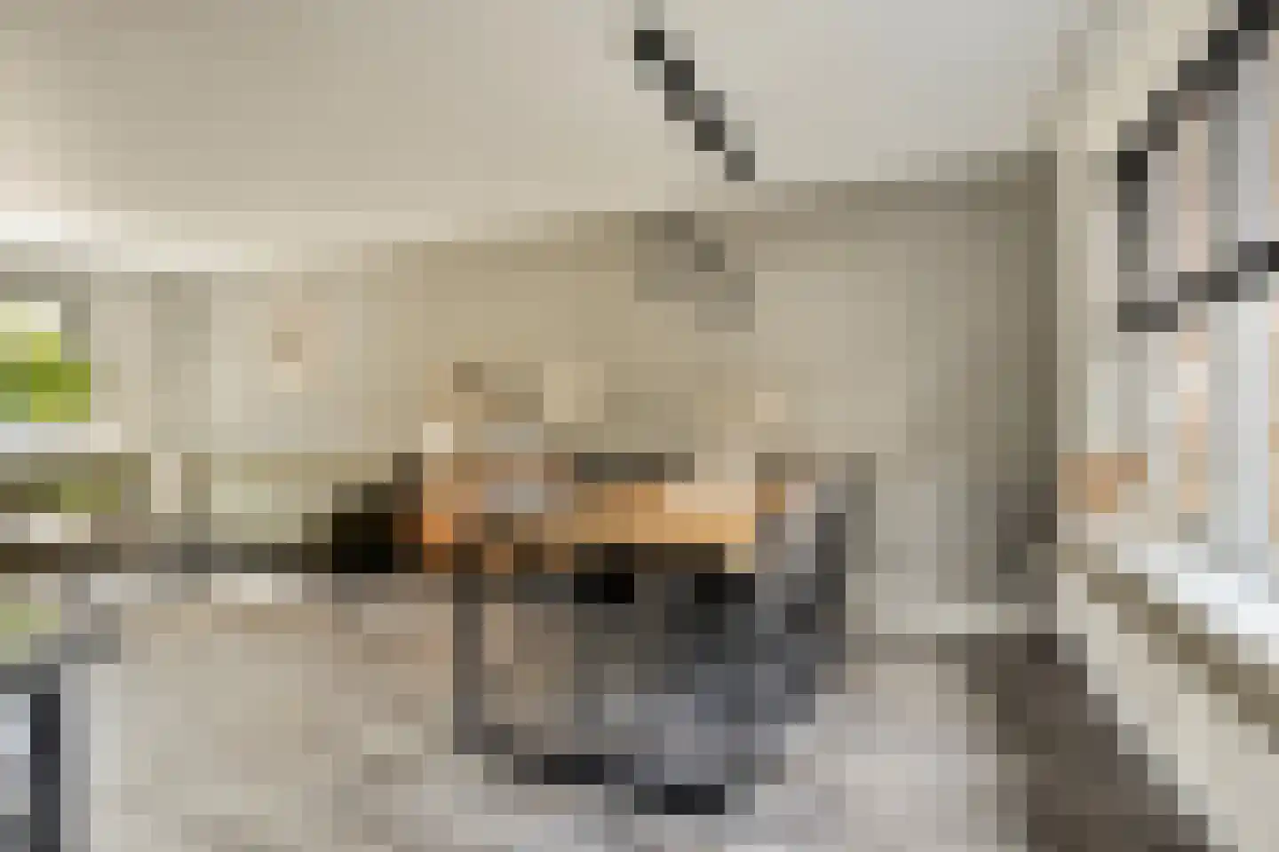 Pampus 5 Kuinre thumbnail 7