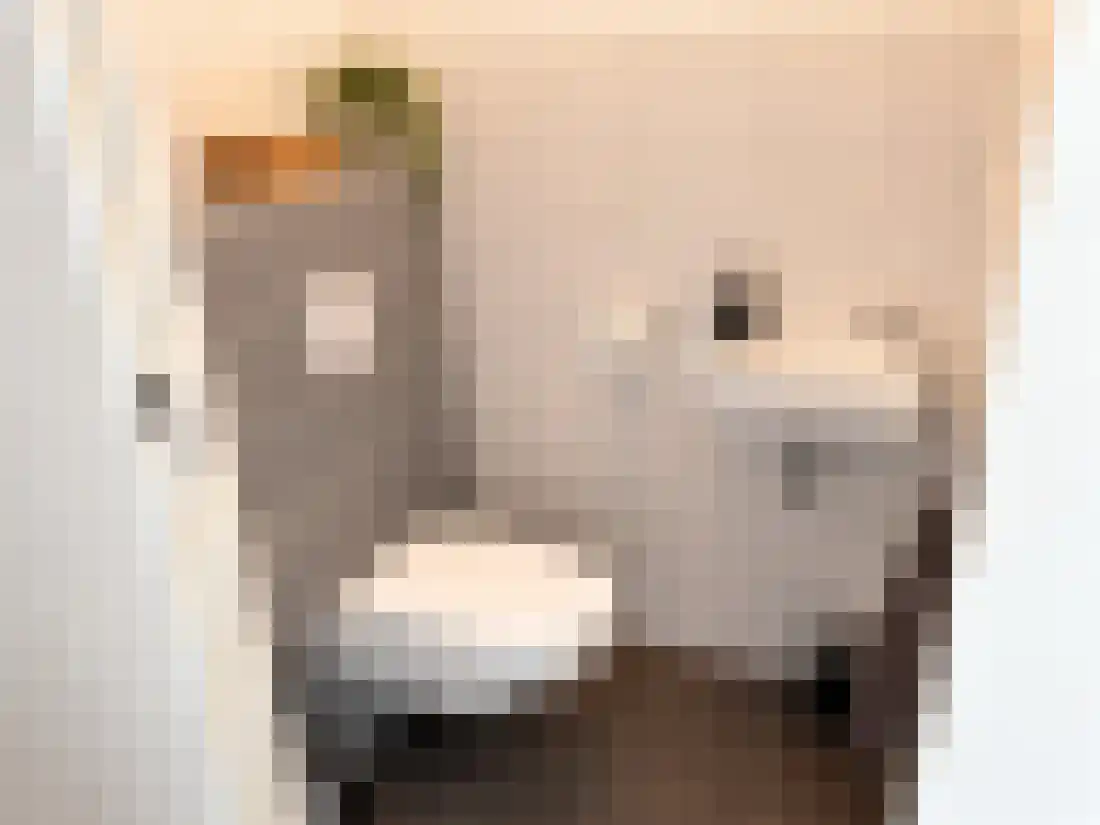 Pampuskade 146 Rotterdam thumbnail 12