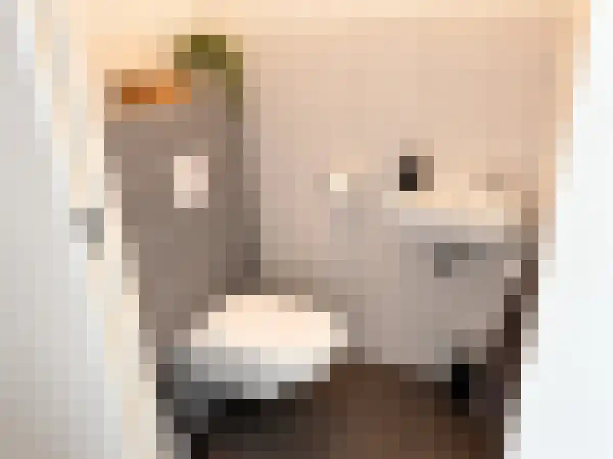 Pampuskade 22 Rotterdam thumbnail 6
