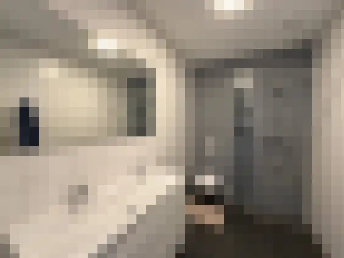 Pampuskade 84 Rotterdam thumbnail 6