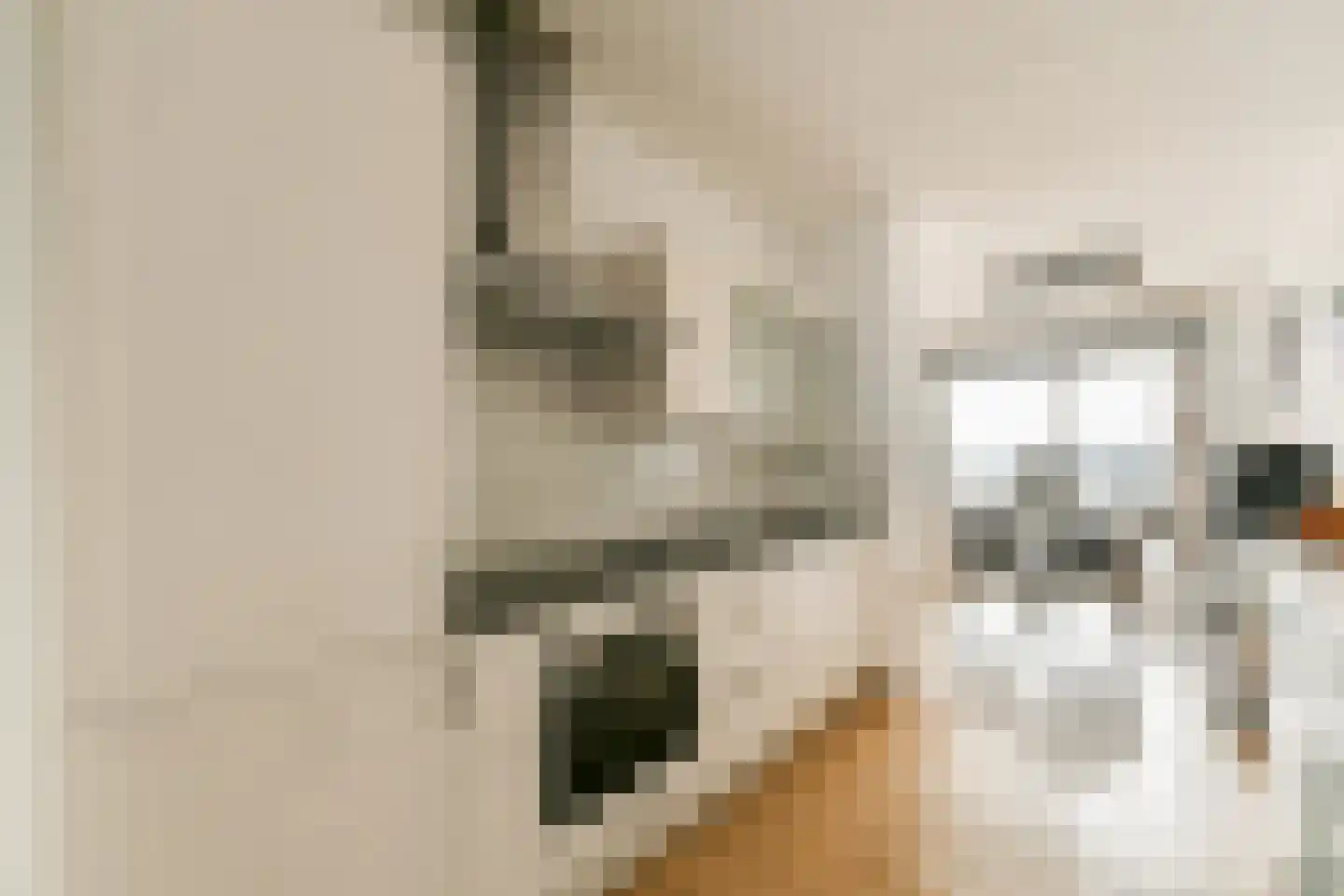 Pampuslaan 68 Amsterdam thumbnail 10