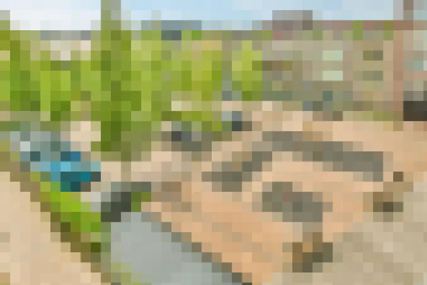Pampuslaan 68 Amsterdam thumbnail 17