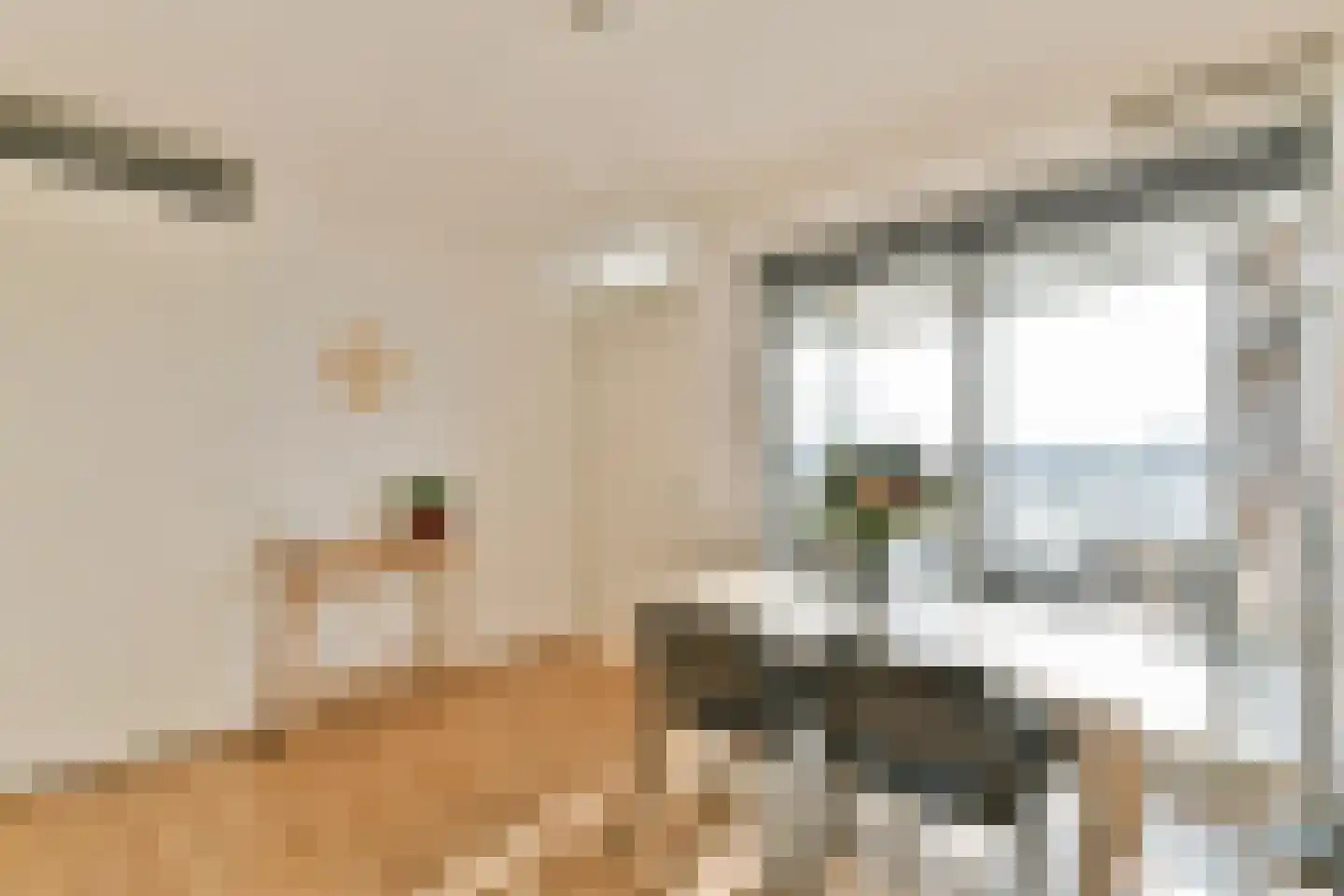 Pampuslaan 68 Amsterdam thumbnail 8