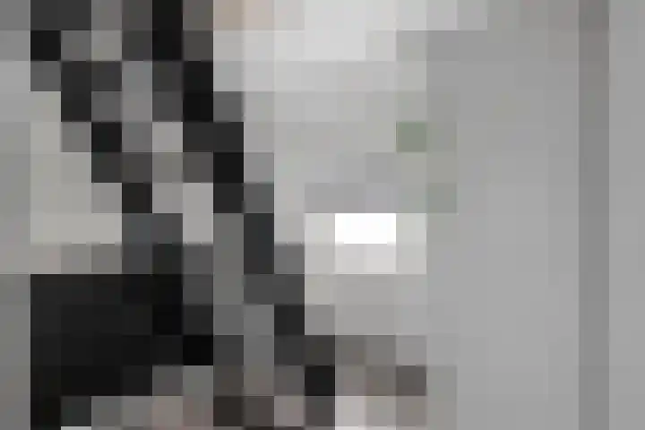 Pampuspad 19 Emmeloord thumbnail 14
