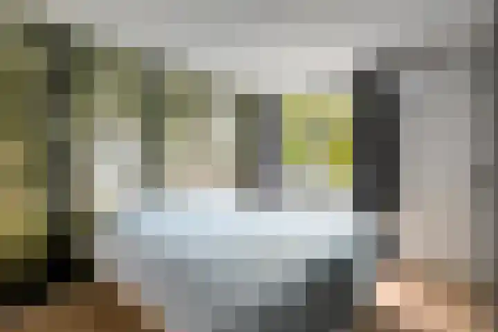 Pampuspad 19 Emmeloord thumbnail 17