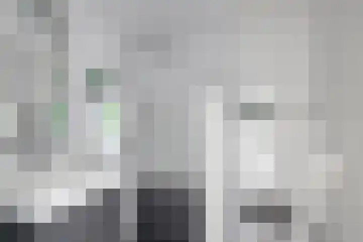 Pampuspad 19 Emmeloord thumbnail 19