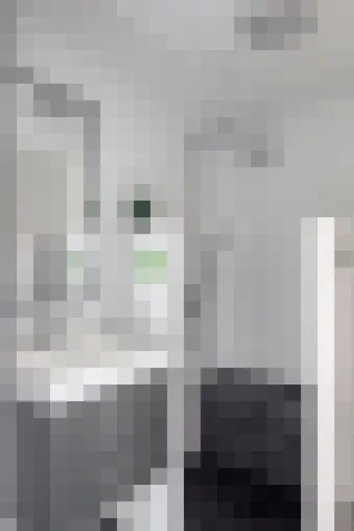 Pampuspad 19 Emmeloord thumbnail 20