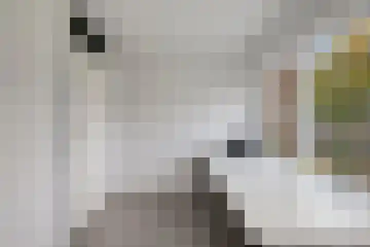 Pampuspad 19 Emmeloord thumbnail 25