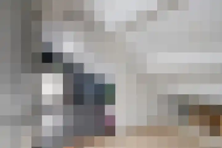 Pampuspad 19 Emmeloord thumbnail 27