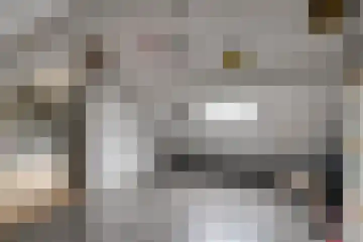 Pampuspad 19 Emmeloord thumbnail 28