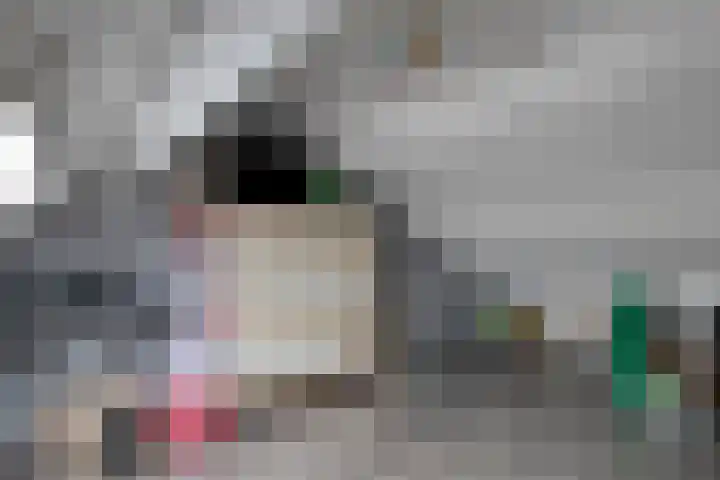 Pampuspad 19 Emmeloord thumbnail 29