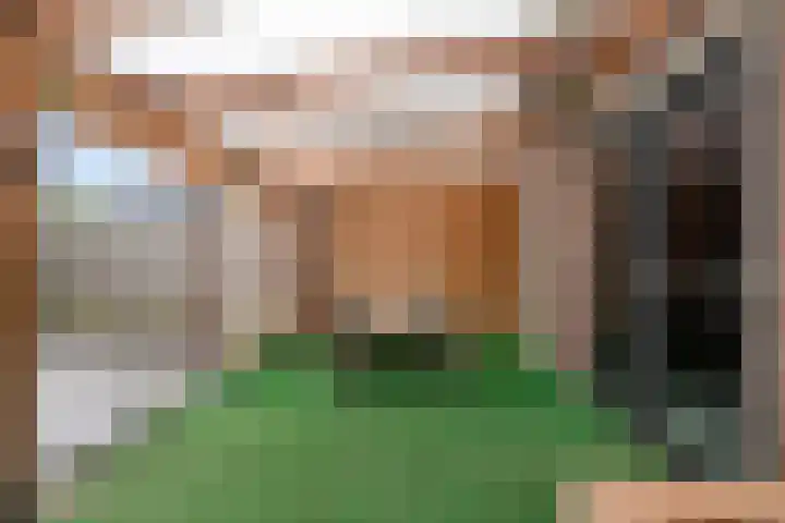 Pampuspad 19 Emmeloord thumbnail 31