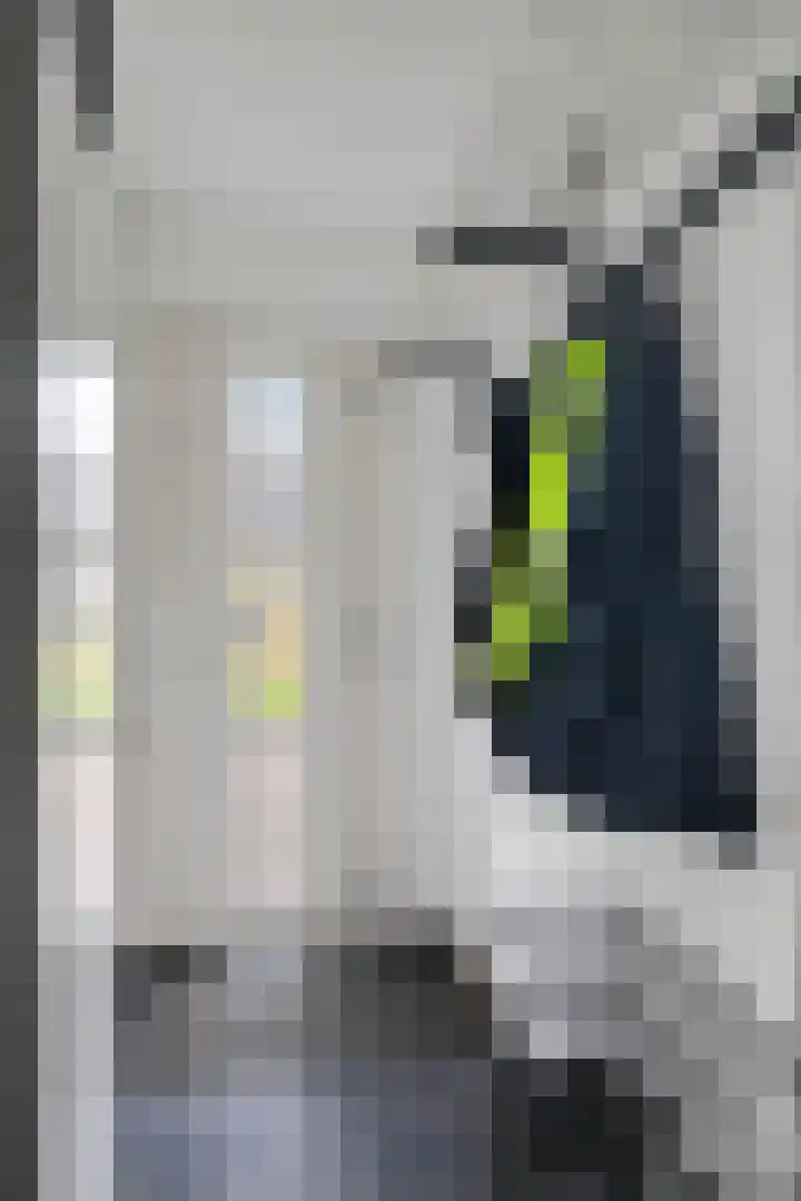 Pampuspad 19 Emmeloord thumbnail 4