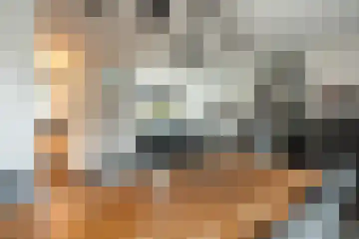 Pampuspad 34 Emmeloord thumbnail 18