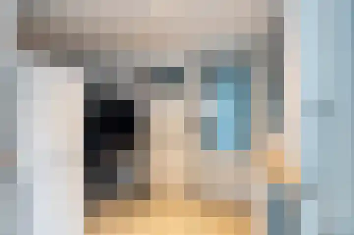 Pampuspad 34 Emmeloord thumbnail 19