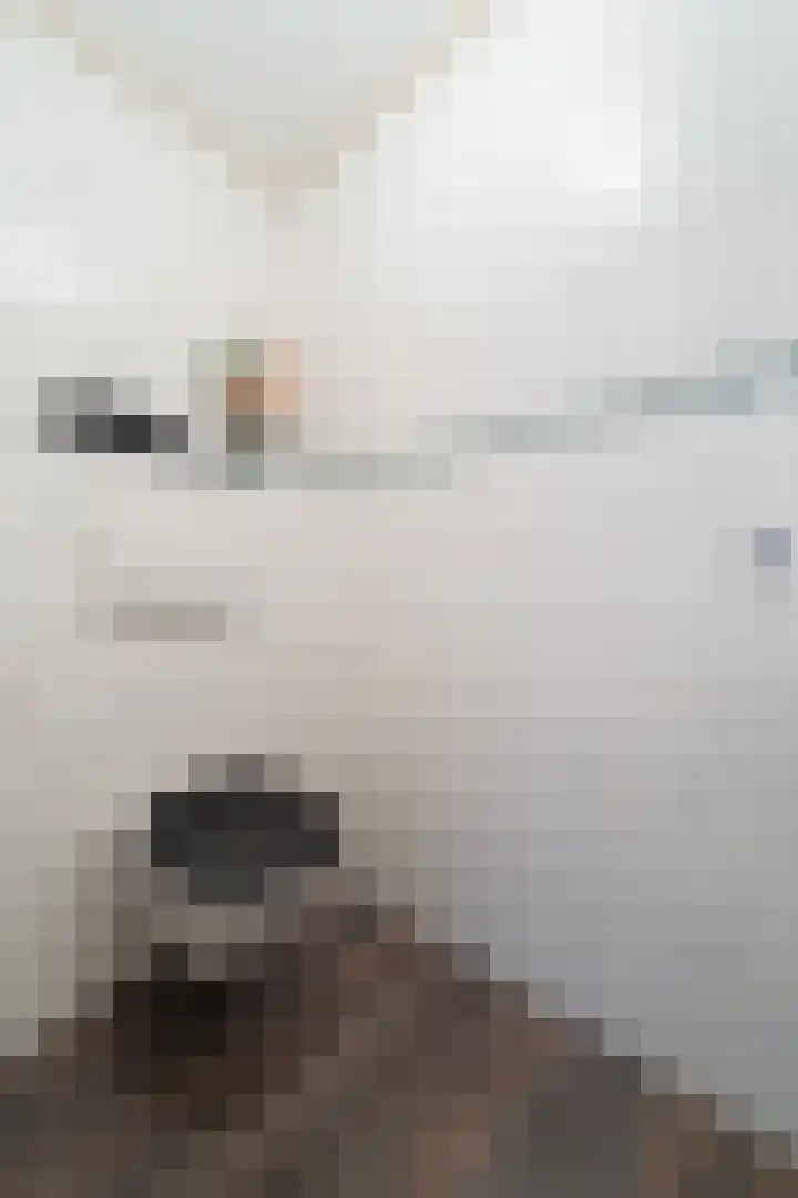 Pampuspad 34 Emmeloord thumbnail 21