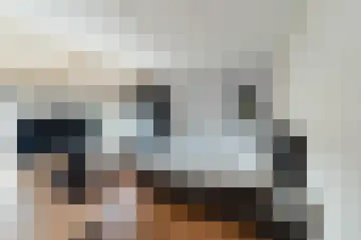 Pampuspad 34 Emmeloord thumbnail 25