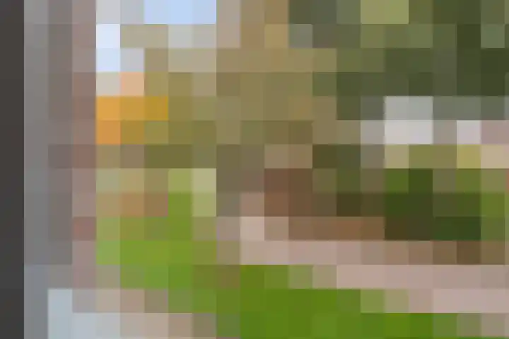 Pampuspad 34 Emmeloord thumbnail 28